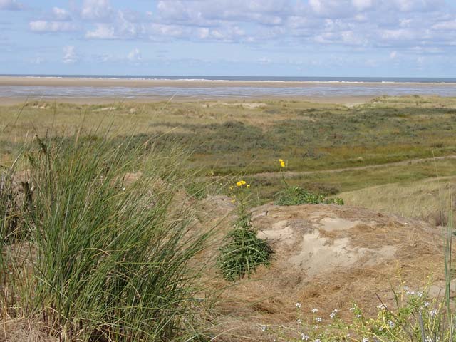 Borkum 03 - 09.jpg